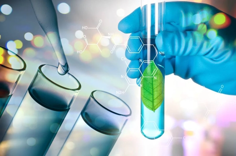 Is MPhil Biotechnology a Good Career Choice in Pakistan | Jobs