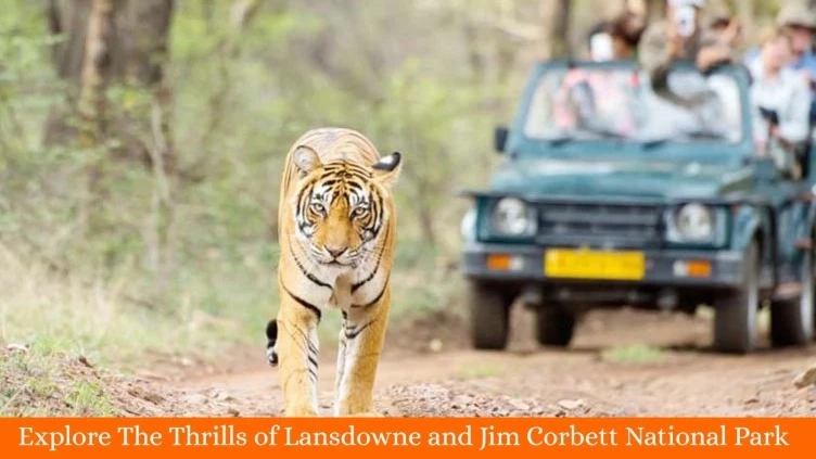 Explore The Thrills of Lansdowne and Jim Corbett National Park
