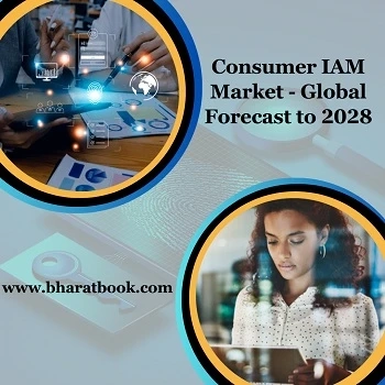 Global Consumer IAM Market, Forecast 2028