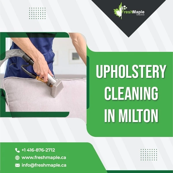 Professional Upholstery Cleaning in Milton VS. DIY Cleaning