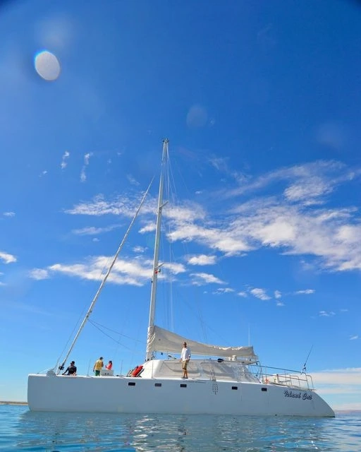 Exciting Cabo San Lucas Sea Lions Tour With Baja Charters & Excursions