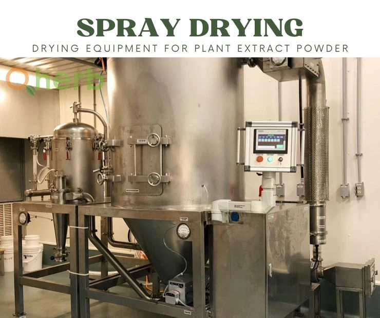 Ten Key Principles of Spray Drying, an Important Drying Equipment for Plant Extract Powder