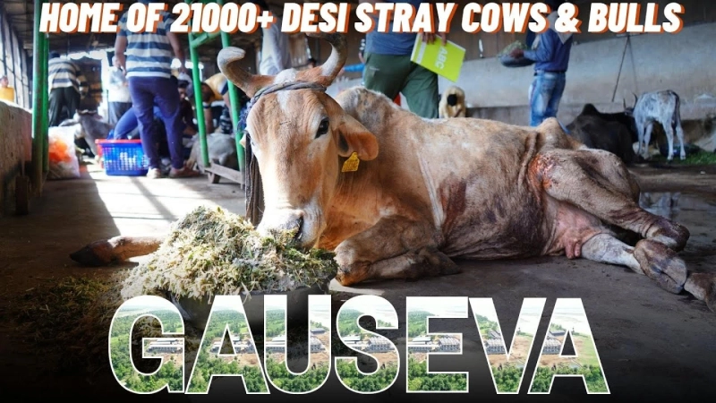 Empowering Communities Through Krishnayan: A Pathway to Transformation and Progress