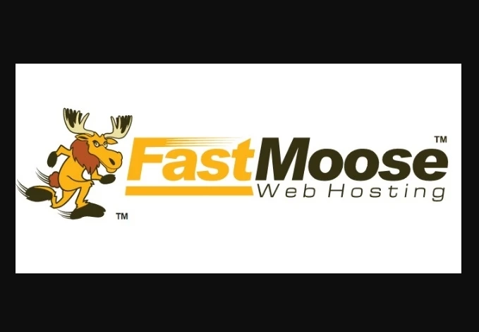 What to Look within your Web Hosting?