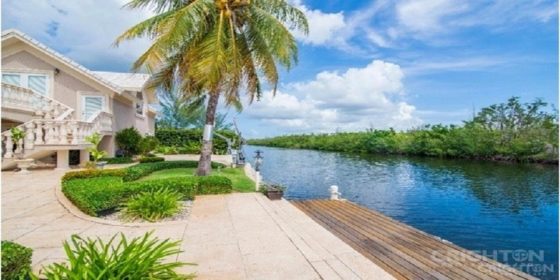 5 Impressive Flora and Fauna of the Cayman Islands