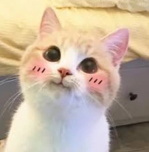 Gestalte den Schlafanzug deines Kindes