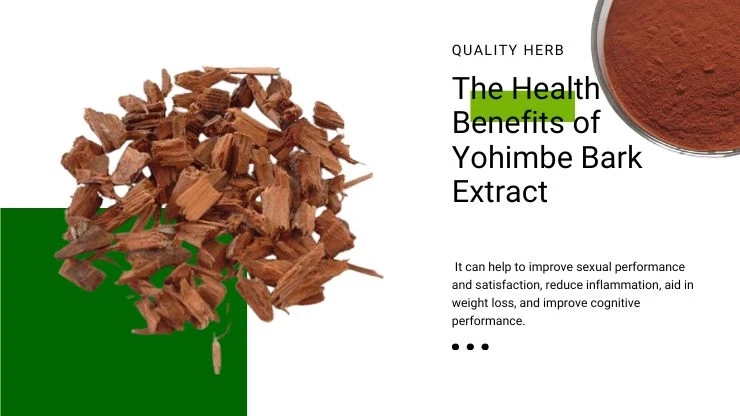 The Health Benefits of Yohimbe Bark Extract