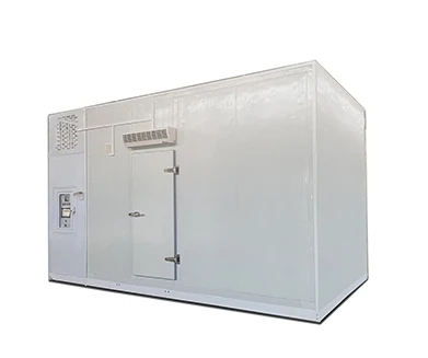 Cold Chain Packaging