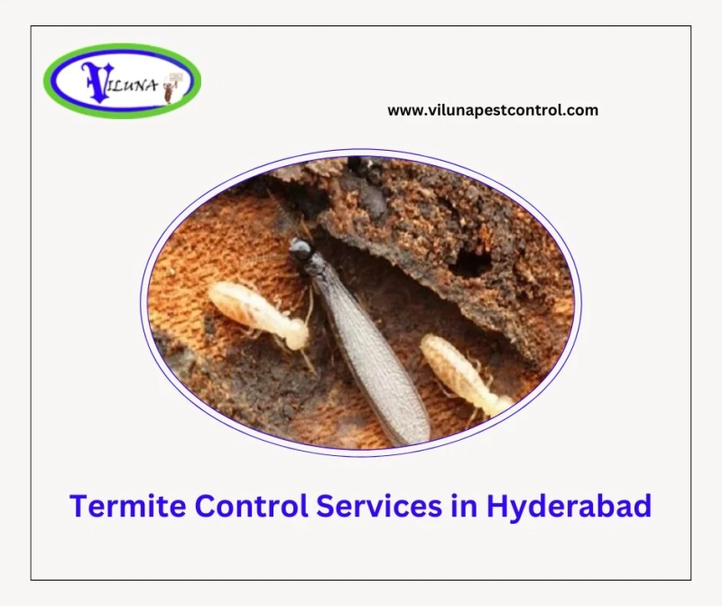 Decoding Termite Behavior: Understanding the Lifecycle for Effective Pest Control in Hyderabad