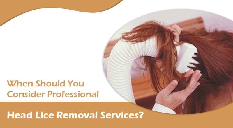 When Should You Consider Professional Head Lice Removal Services?