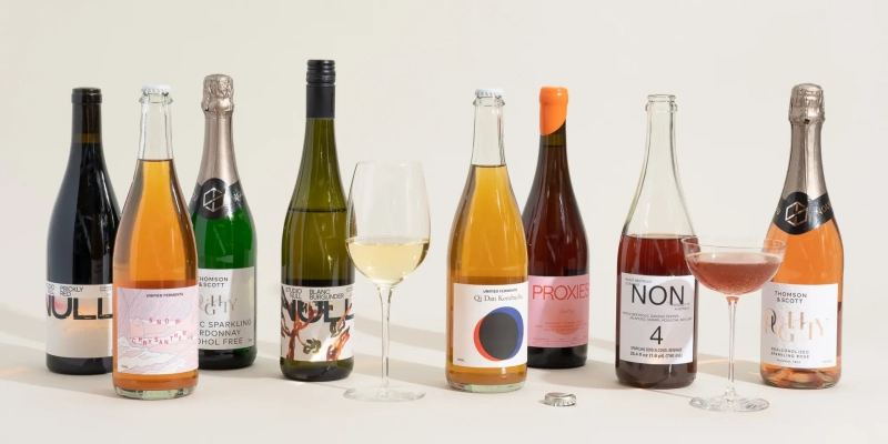 Non Alcoholic Wine for Pregnant Women A Safe, Elegant Alternative