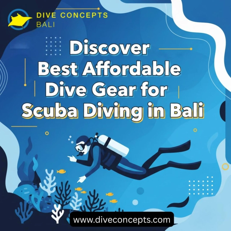 Discover Best Affordable Dive Gear for Scuba Diving in Bali