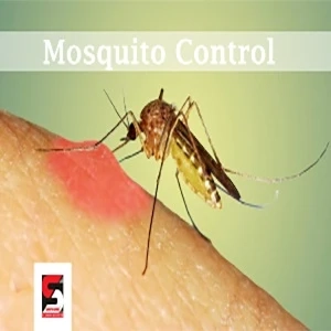 Pest Control Services in Thane by Sadguru Pest Control