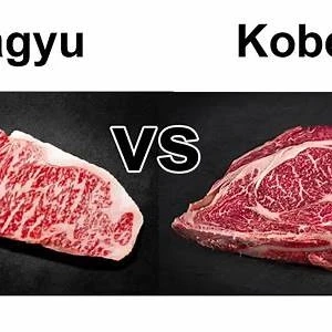 Origin of Wagyu Beef