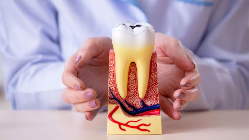 Discover the Future of Smile Transformation: Accelerated Orthodontics Bandra