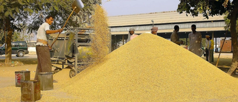 India Grain Analysis Market Analysis, Opportunity, Demand, Share, Size, Trends & Forecast