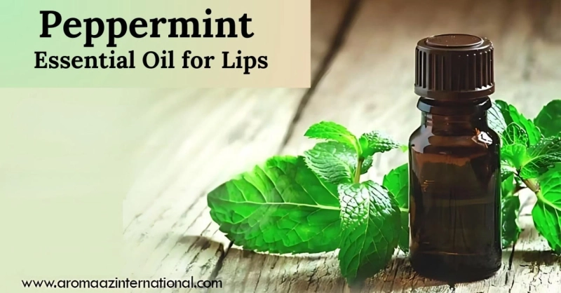 Peppermint Essential Oil for Lips Benefits, Uses, and Buying Tips