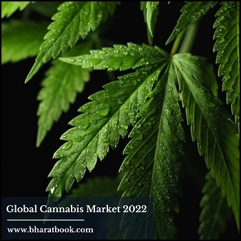 Global Cannabis Market, Forecast 2022-2028