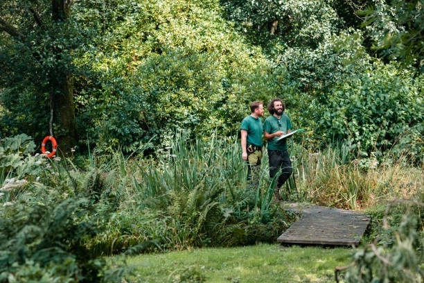 Why Should Landscape Gardeners Consider Concrete for Garden Design?