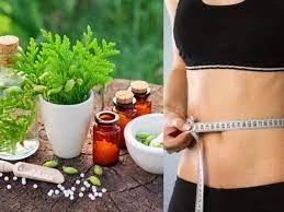 Herbal Remedies For Weight Loss