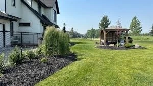 Give Your Lawn the Care It Needs to Thrive Naturally