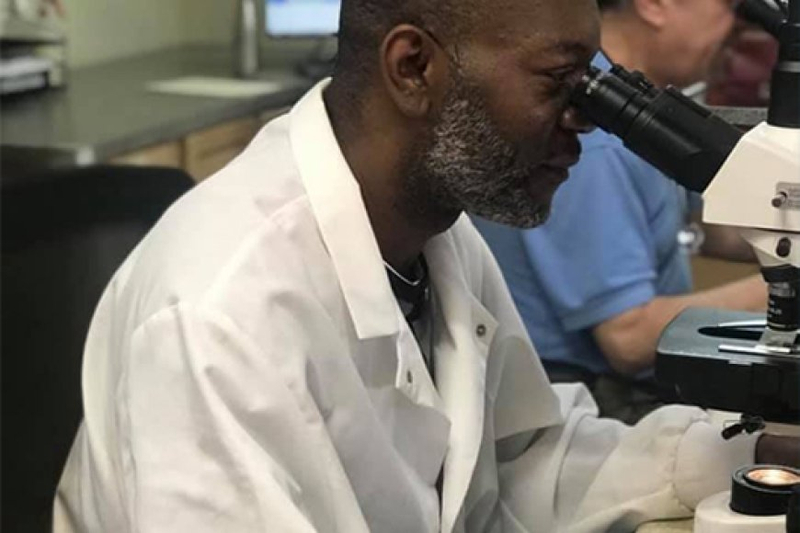 Why Mold Testing Labs Are Essential For Comprehensive Inspection