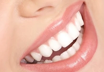 PowerBite Reviews, Benefits, Price, Order!