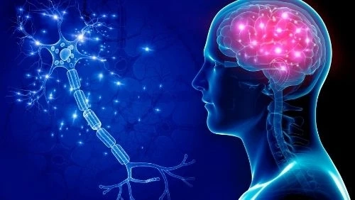 The Benefits of Pregabalin in Managing Epilepsy Symptoms