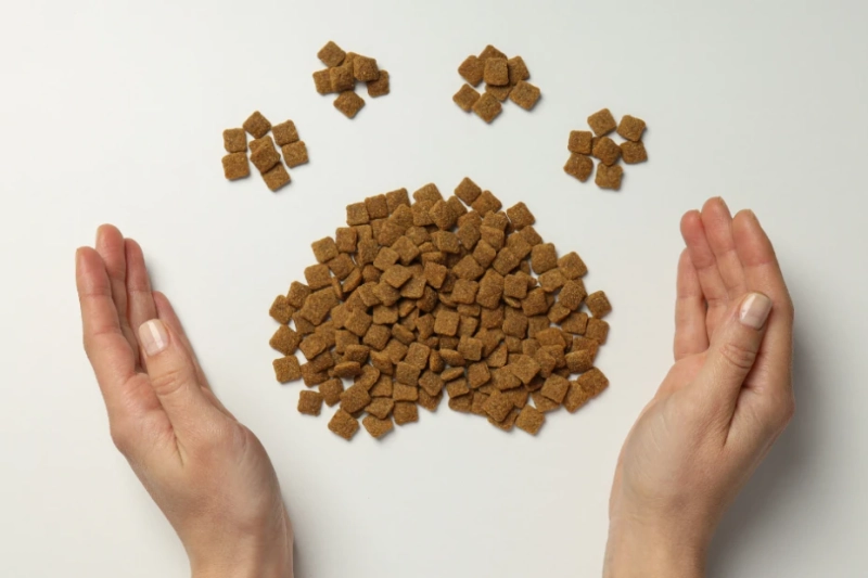 Finding the Right Food for Your Pets at Home