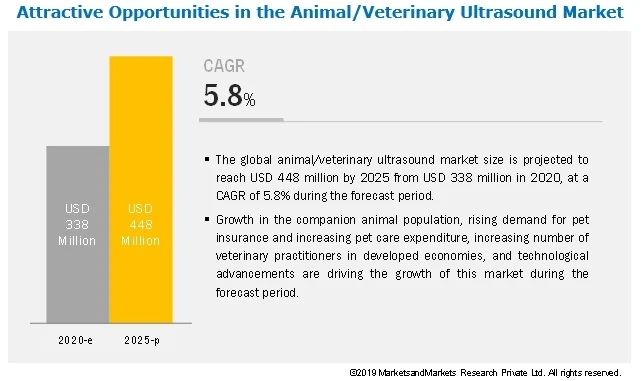 Veterinary Ultrasound Market: Shortage of Trained Professionals
