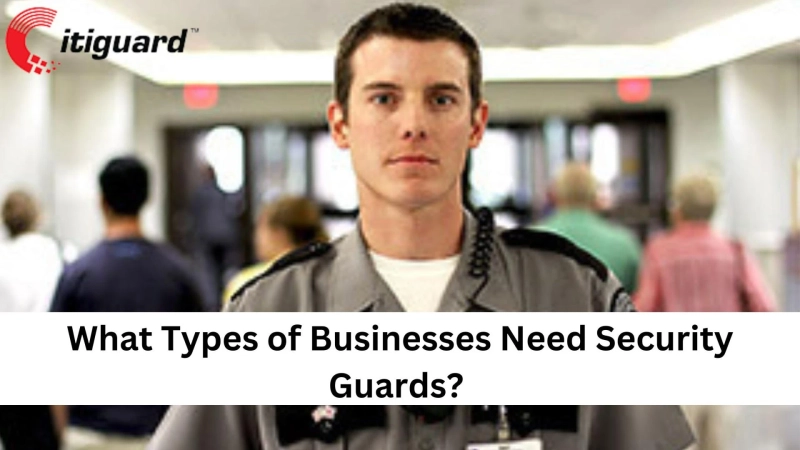 What Types of Businesses Need Security Guards?