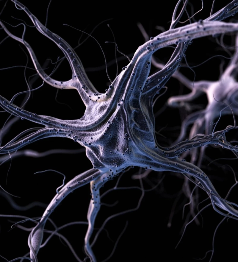 Regenerating Hope: New Directions in Brain and Nerve Care