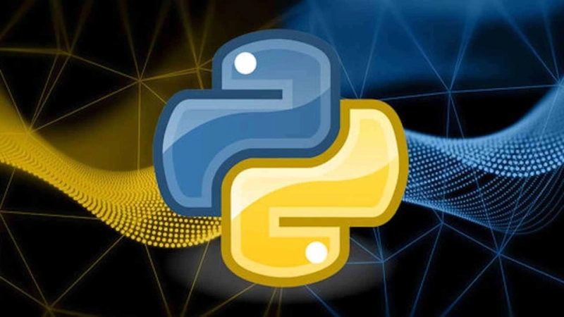What is Python hosting and its compatibility with websites?