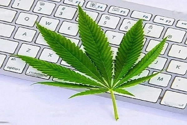 How to Choose a Maine Dispensary to Buy Weed Online