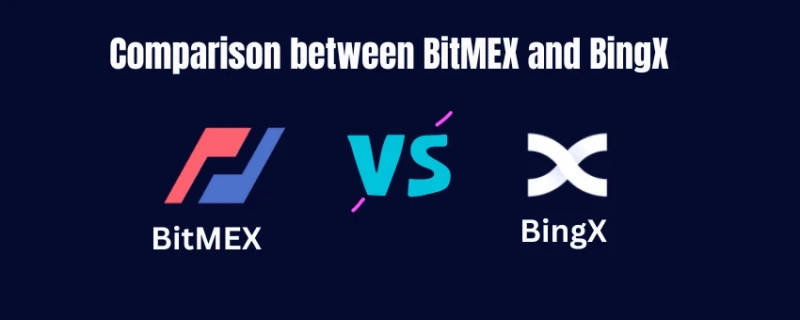 Comparison between Bitmex and BingX