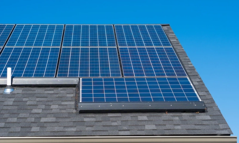 How Solar Critter Guard California Helps Protect Your Panels from Costly Wildlife Damage