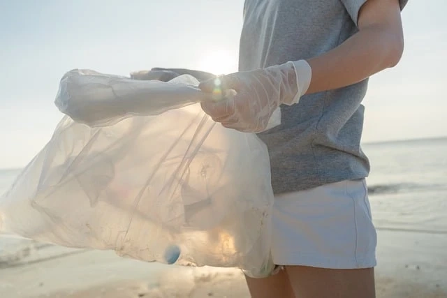 8 Steps to Getting Involved in Environmental Volunteer Programs