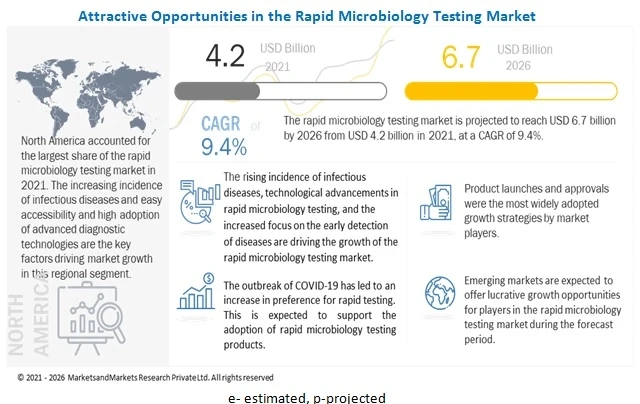 Rapid Microbiology Testing Market - Emerging Industry Trends and Global Future Forecast