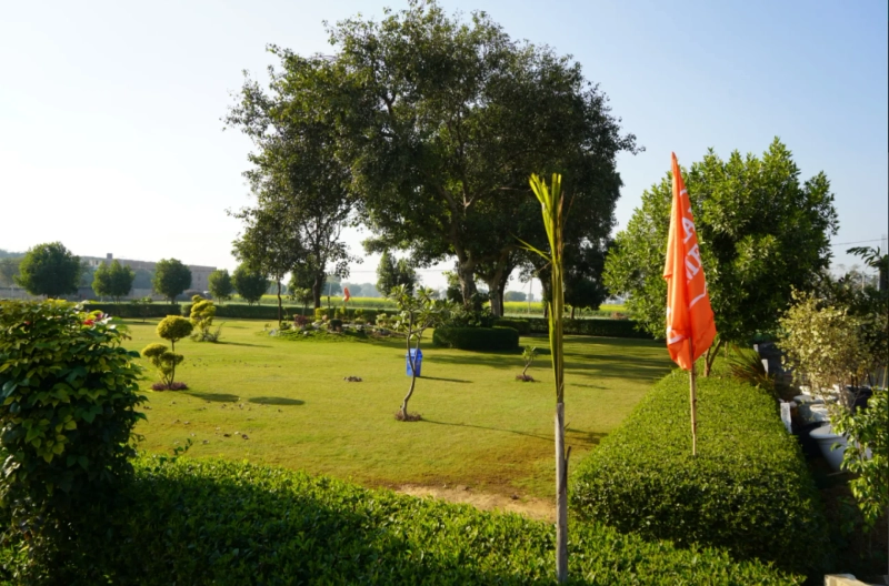 Residential Plots in Jewar – A Smart Investment Opportunity with Maxpine Group