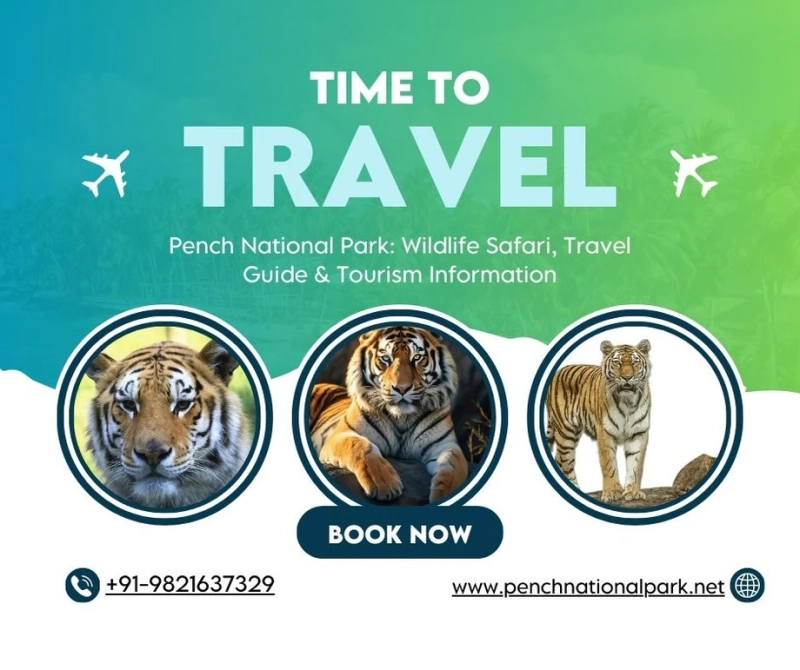 Pench National Park: A Roaring Tale of Heritage and Wildlife