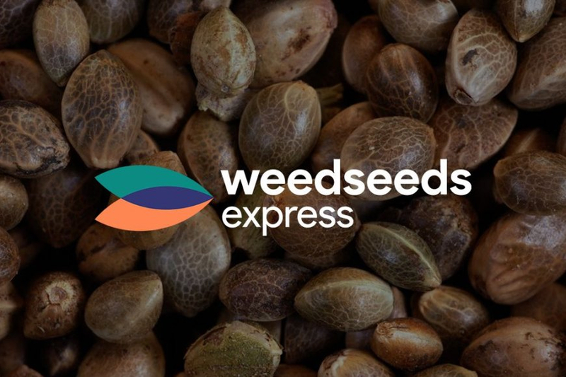 Welcome to Weed Seeds Express: Your Premier Source for High-Quality Cannabis Seeds