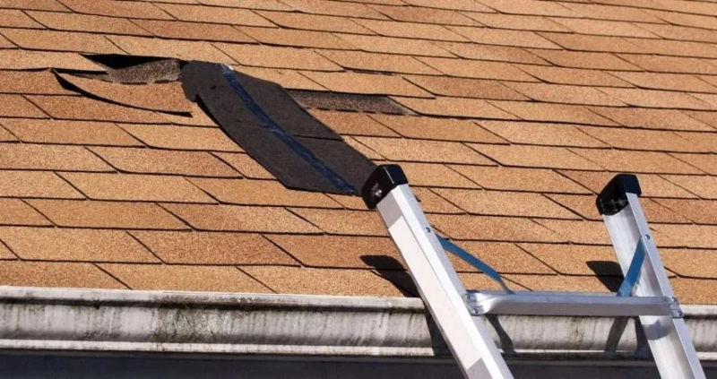 Enjoy comfortable living with the best roof replacement Toronto agencies