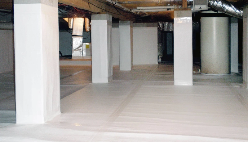 Best Wet Basement Solutions and Waterproofing Companies in Chicagoland