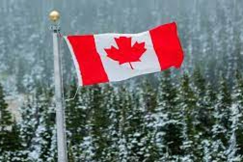 Certified Canadian Immigration Consultant In Dubai