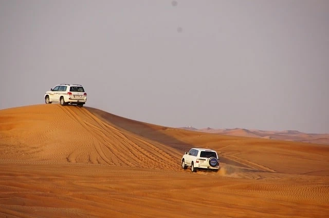 Experience the Beauty of Abu Dhabi's Desert with a Morning Safari Adventure