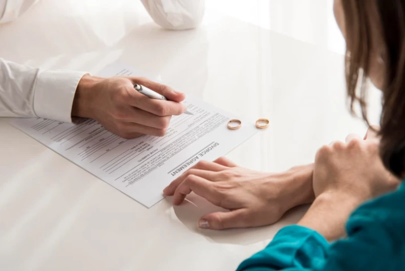 A Complete Guide to Child Custody and Child Support Document Preparation by CD&D Associates