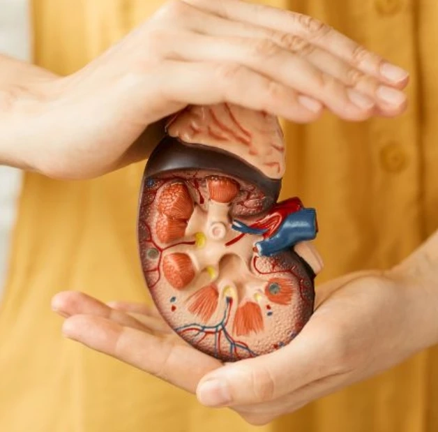 Best dialysis facilities in Delhi