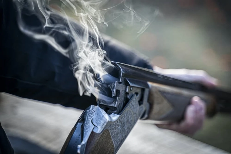 The Three Main Types of Guns: Rifles, Shotguns, and Handguns