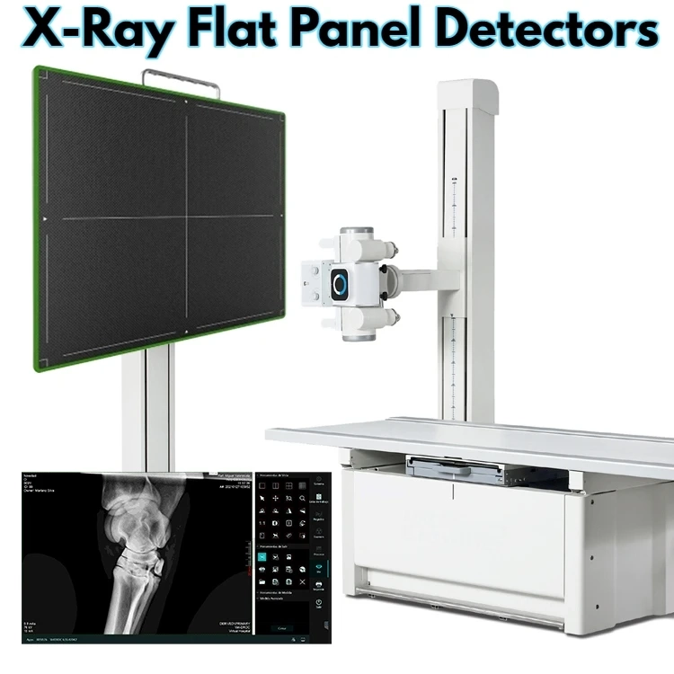 X-Ray Flat Panel Detectors Market Size and Growth Forecast