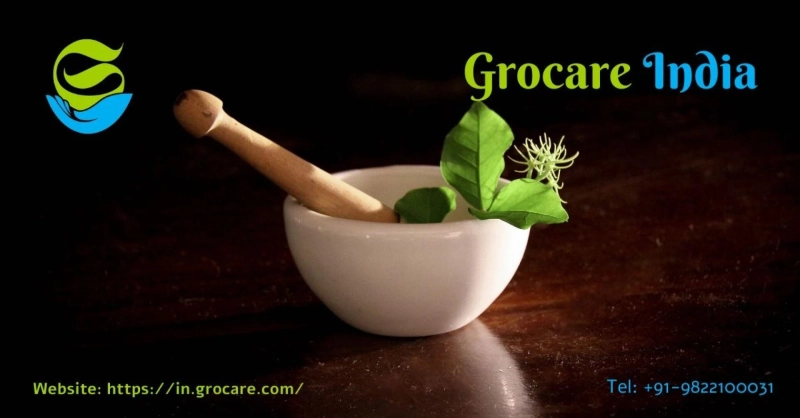 Grocare Is Offering Herbal Medication For Fatty Liver Disease Treatment